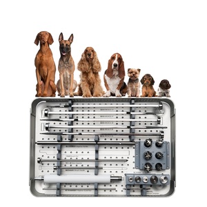 Impianti Ortopedici Veterinari, Protesi Articolare dell'Anca per Cani di Piccola Taglia, Sistema Bipolare MINI con Strumenti - Product Image 4