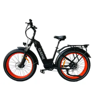QUEENE/NEW 26*4.0 fat tyre 48V500W 750W 1000W beach cruiser Low step thru scrambler electric bicycle lady ebike