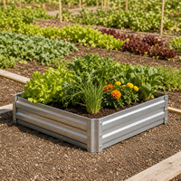 Colonne de support populaire en tôle galvanisée écologique de 0,8 mm pour la culture en pépinière de fleurs