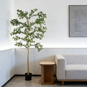 Popular Árbol de Olivo Negro Artificial Desmontable de 7' Shady Lady, Decoración Moderna para el Hogar, Árboles de Olivo Negro Artificiales Altamente Realistas - Product Image 5