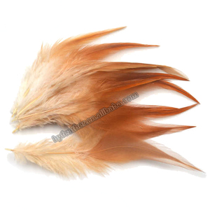 Teint Noir Selle Hackle Poulet Coq <span class=keywords><strong>Plume</strong></span> Pour Artisanat DIY Mouche Attachage Matériel Carnaval Cheveux Boucle D'oreille Accessoire Partie Déco - Product Image 3