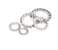High Quality GB861.2 Internal Tooth Lock Washers Made of 304 Stainless Steel High Standard Product