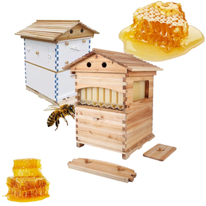 Nueva <span class=keywords><strong>Colmena</strong></span> China de Madera Pintada con Flujo Automático, Juego de 7 Cuadros Automáticos, Suministros de Apicultura, 1 Año de Garantía - Product Image 1