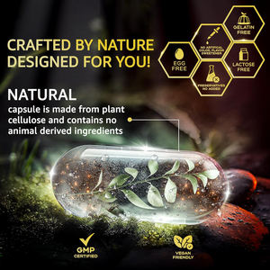 Capsules de shilajit de défense parfaitement vieillissantes Capsule de shilajit de l'Himalaya Capsule de shilajit d'huile de graines noires de berbérine - Product Image 5