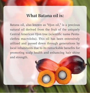 Crema de Aceite de Batana Orgánica SIN LOGO, Nutritiva y de Larga Duración para el Crecimiento y Reparación del Cabello Dañado, Cuidado Capilar Saludable - Product Image 4