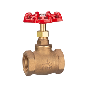 Válvula de Compuerta Roscada de Acero Inoxidable 304 de Fabricación Profesional, Válvula de Retención Unidireccional para Control de Agua a Alta Presión, OEM Personalizado - Product Image 1