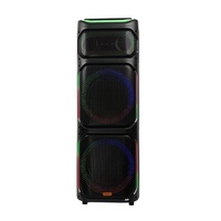 Promotion Stock Enceinte de Fête Double 12 Pouces 80W pour Extérieur avec Audio Bluetooth et Deux Microphones Sans Fil Lumière LED Colorée