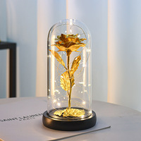 Cadeau créatif Rose éternelle en feuille d'or artificielle avec lumières dans un boîtier en plastique pour elle Décoration d'intérieur Ornement