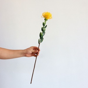 Nueva Flor de estilo chino hecha a mano simulada aguja de plástico cojín flor arte moderno arreglo floral accesorios largos - Product Image 4