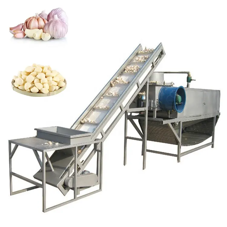 Máquina de secagem automática de alho e limpeza, linha de produção vegetais e frutas, máquina de processamento