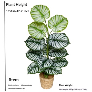 Nouvelle Collection : Ornements <span class=keywords><strong>D</strong></span>écoratifs Artisanaux en Plastique, Répliques Réalistes au Toucher, 15 Variétés <span class=keywords><strong>d</strong></span>'Alocasia Macrorrhiza pour l'Intérieur - Product Image 2
