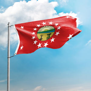 Banderas nacionales personalizadas <span class=keywords><strong>de</strong></span> 3x5 pies al por mayor, impresión digital en poliéster duradero para uso en exteriores, estándar <span class=keywords><strong>de</strong></span> <span class=keywords><strong>la</strong></span> <span class=keywords><strong>bandera</strong></span> del Gobernador <span class=keywords><strong>de</strong></span> <span class=keywords><strong>Ohio</strong></span> - Product Image 1