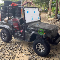 Offre Spéciale 2 places Dune Buggy 4x4 camion à essence électrique essence nouvelles Jeep Voitures Jeep Electrico Willys 250cc Mini Jeep