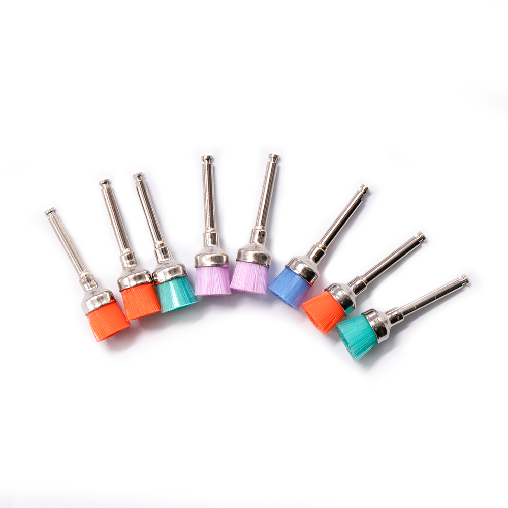Professional Dental Colorful Nylon Cup Style Prophy Polishing Brushes
