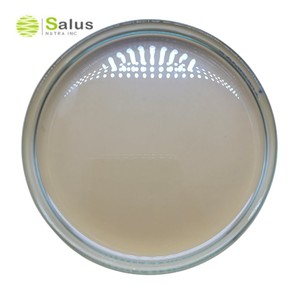 Cosmétiques Grade Cas 5466 ÉTHYLHEXYLE MÉTHOXYCINNAMATE - Product Image 6