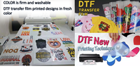 30cm, 60cm largeur double face mat chaud et chaud film PET de transfert de chaleur pour l'impression d'encre pigmentée DTF