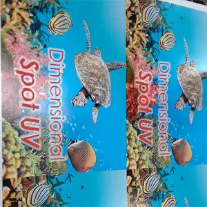 Personalizado Premium 3D Verniz Em Relevo Folha Spot UV Folheto Manual Brochuras Revista Livro De Papel De Arte Serviço De Impressão Flyer