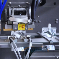 Acepack CE-gecertificeerde hogesnelheidsautomatische vul- en verzegelmachine voor zakjes met uitgietmond voor fruit-sap, pulp en drankenverpakkingen