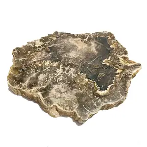 批发天然抛光木材化石切片水晶矿物标本段装饰