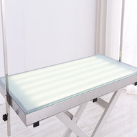 Table de toilettage électrique à Led pour chiens, ascenseur croix, outil pour toilettage d'animaux, en solde,