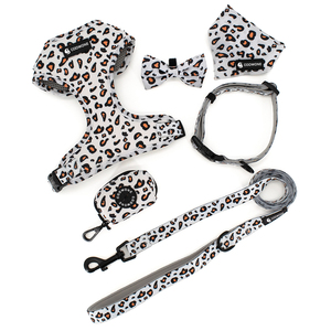 Conjunto de Coleira e Guia Personalizados com Logotipo, Coleira e Guia Ajustáveis e Acolchoadas de Luxo para Cães - Product Image 6