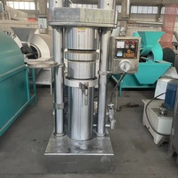 Presse hydraulique automatique en acier inoxydable Luoyu pour usage domestique, 380V, capacité 150kg/h, pressage à froid et à chaud pour huile d'olive et huile de sésame, garantie 1 an