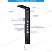 Panneau de douche de massage mural thermostatique européen en acier inoxydable mat finition chromée noyau de valve en céramique à cinq poignées