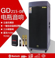 3 voies 400W 12V 40ah Plomb Batterytemeisheng Double 15 Pouces À Piles Portatif de Partie USB Subwoofer Usage Domestique haut-parleur