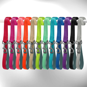 Toptan üretici ayarlanabilir naylon dayanıklı yumuşak yastıklı neopren yansıtıcı Pet köpek tasması ve tasma seti - Product Image 6