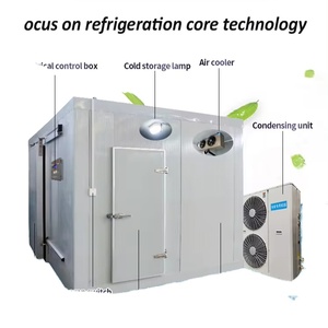 Cámara Frigorífica Grande y Eficiente para Uso Doméstico y Comercial, Refrigerador de Gran Capacidad con Controlador Digital - Product Image 6
