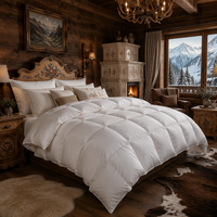 Couette d'hiver chaude en duvet de canard blanc 90% format Queen, matelassée en boîte, en coton anti-duvet, extra chaude, vente en gros