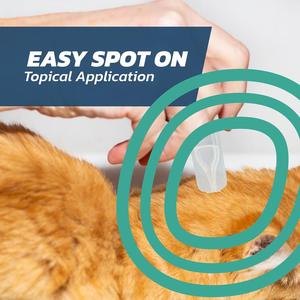 Traitement antiparasitaire pour chat de 4 mois, protection externe longue durée pour chats, fournitures de soins pour animaux de compagnie - Product Image 4