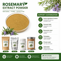 Poudre d'extrait de romarin certifiée GMP LongBio, acide rosmarinique, acide carnosique, antioxydant naturel, qualité alimentaire, extrait végétal pour