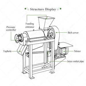 Máquina Extractora Industrial Manual de Prensado en Frío para Jugos de Frutas 2020: Tomate, Cactus, Piña y Guanábana - Product Image 3