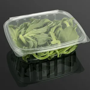 Rectangle Clear Plastic Hinged Food Container With Lid Safe Seal 8- 48 oz. Tamper-Resistant, Tamper-Evident - 200/Case