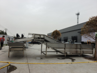 Continue fruit- en groenteverwerkingslijn na de oogst: week-, was-, sorteer- en luchtdroogmachine voor groentefabrieken