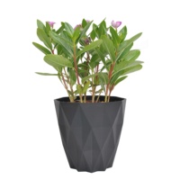 Pots de plantation en plastique, pot de fleurs en plastique pour jardin d'intérieur, bureau, vente en gros, usine