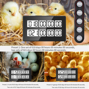 LCDディスプレイ多機能デュアルチャンネルデジタルキッチンカウントダウンタイマー - Product Image 4