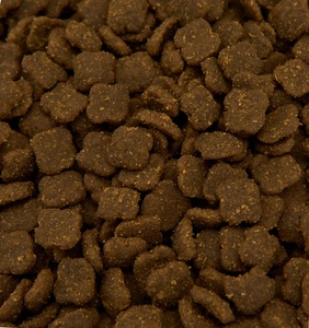 Multivitamine 800g 100% Natuurlijk Hoog-Eiwitrijk Droog Kattenvoer - Voedingsdieet met veel vezels voor de spijsvertering & groei van kleine rassen - Product Image 6