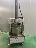 JT JT-35L Hydraulische RVS 35L 2,2kW 2 jaar garantie Huis & Commerciële Wijn & Sinaasappel Koudpersmachine Extractor