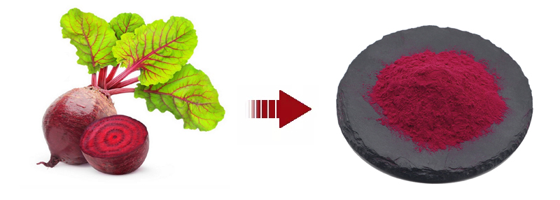 Chinese Organic Plant Extract 100% Pure Red Beet Powder
