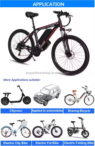 Литиевая аккумуляторная батарея haylong № <span class=keywords><strong>2</strong></span> 48 В для электрических велосипедов/скутеров, модифицированный, 36 В, 13 А/ч, 15 А/ч, 17 А/ч, цилиндрическая ионная Гора - Product Image 5