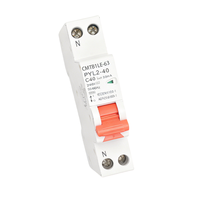 CMTB1LE-63 Mini RCBO 16 & 32 Amp 3P Disjoncteur différentiel avec protection 10ka 2P 2 phases Fuite à la terre