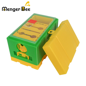 Nueva Caja de Cría de Abejas Reina de 4 Marcos de Plástico HDPE+PP, Mini Caja de Cría de Reinas para Uso en Apicultura, con Diseño Italiano - Product Image 4