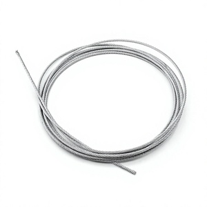 Bobina de Alambre de Acero RSD Global de 2 mm de Diámetro, 500 Metros, Color Plateado, Grado de Construcción Resistente, Acero Inoxidable 316, Estándar AiSi - Product Image 3