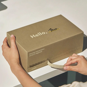 Caja de correo personalizada con tira de rasgado, embalaje de palo de autosellado, cartón corrugado biodegradable, cajas de papel postal con cremallera - Product Image 2