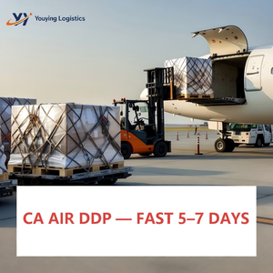 Envío de Carga DDP de China a Canadá para Vendedores <span class=keywords><strong>Online</strong></span>, Transitario, Costo de Envío, Despacho de Aduanas de Mercancías, Entrega en Almacén - Product Image 1