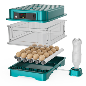 Incubateur automatique pour œufs de poulet, caille, canard, oie, pigeon 220v/110v/12v Incubateur pour <span class=keywords><strong>24</strong></span> œufs - Product Image 3