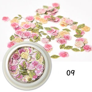 Décorations d'ongles 3D en pâte de bois colorée, mini-fleurs, breloques pour ongles, imitation fleurs séchées, pour manucure DIY, vente en gros - Product Image 5