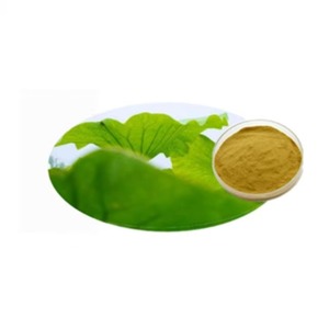 Lian Ye Groothandel 100% Puur Gedroogd Lotusblad <span class=keywords><strong>Extract</strong></span> Poeder 98% Nuciferine Kruid Specerij Export Rauw - Product Image 4